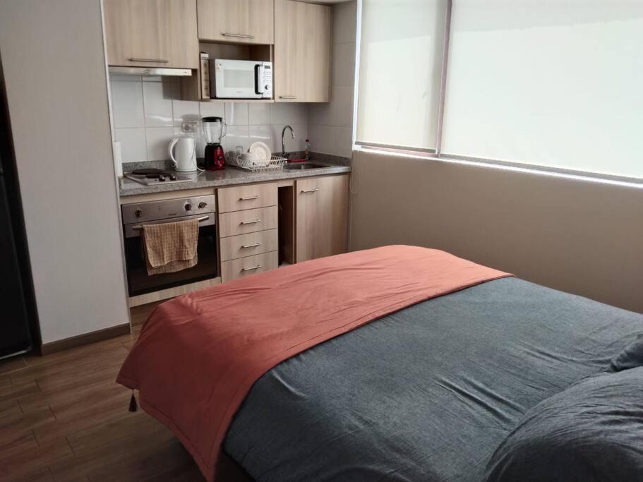 Departamento Nuevo Tipo Estudio En Pleno Centro -8 Concepción
