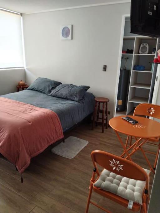 Apartamento Departamento Nuevo Tipo Estudio En Pleno Centro -8 Concepción