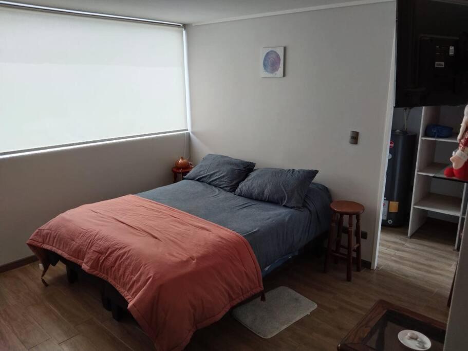 Departamento Nuevo Tipo Estudio En Pleno Centro -8 Concepción