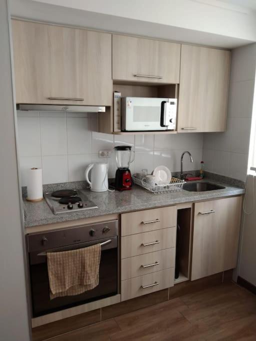 Departamento Nuevo Tipo Estudio En Pleno Centro -8 Concepción