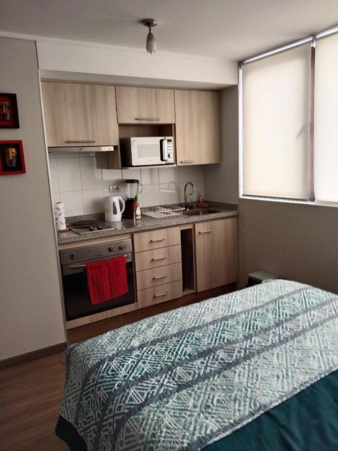Departamento Nuevo Tipo Estudio En Pleno Centro -8 Concepción
